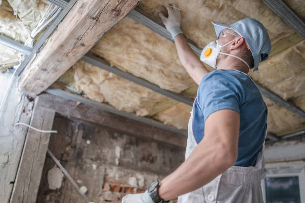 Insulation Inspection Services in Jefferson City, MO
