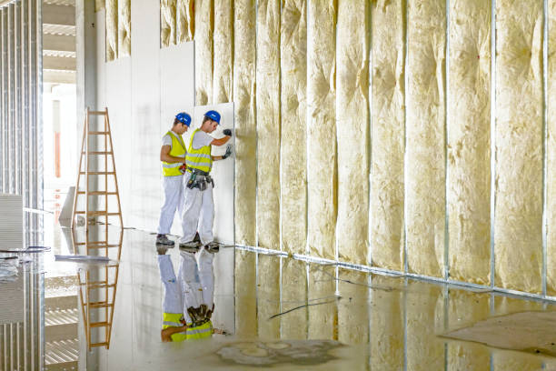 Best Insulation Replacement Services  in Jefferson City, MO